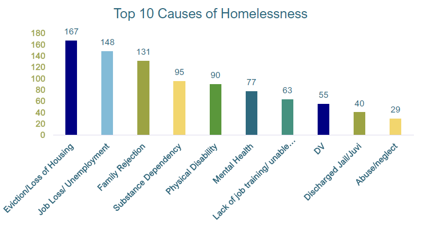 201008.news.homelesscensus4.PNG